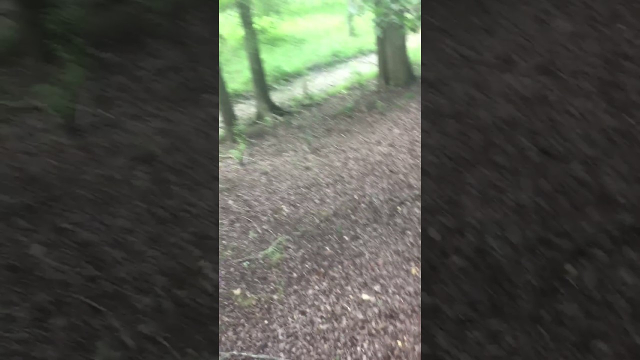 Nature Smoke Sesh