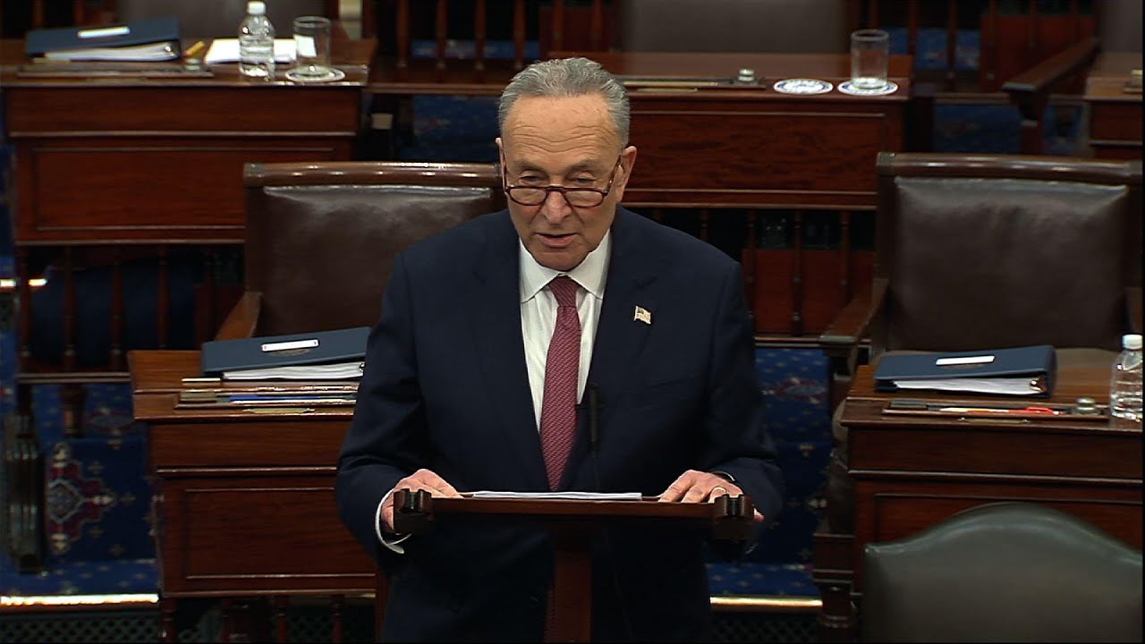 Schumer: Impeachment result a 'vote for infamy'