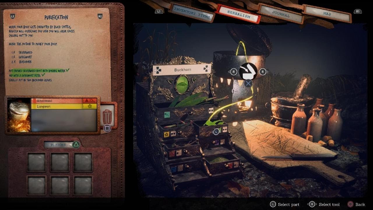 Someday You'll Return: Director's Cut_ Petrification Potion