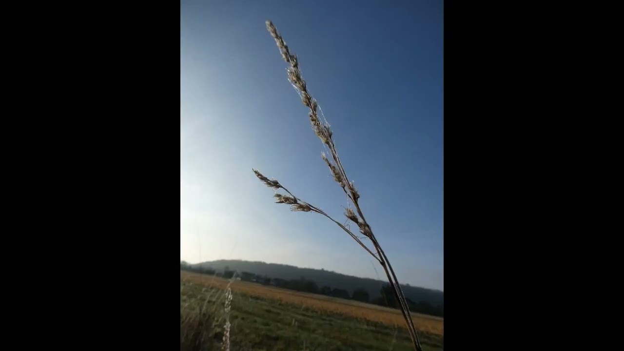 Sérénité sur la Meuse : Quand le Temps s’Arrête