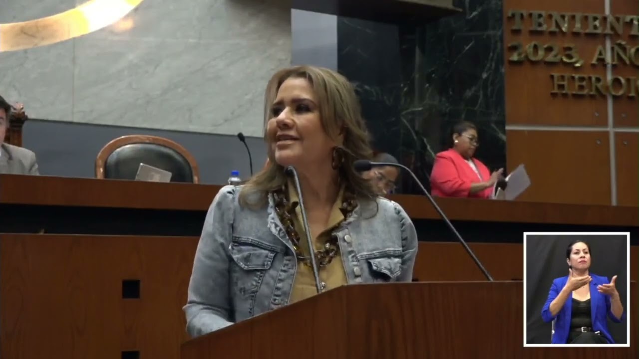 Erika Lührs opina sobre reforma electoral de Sheinbaum