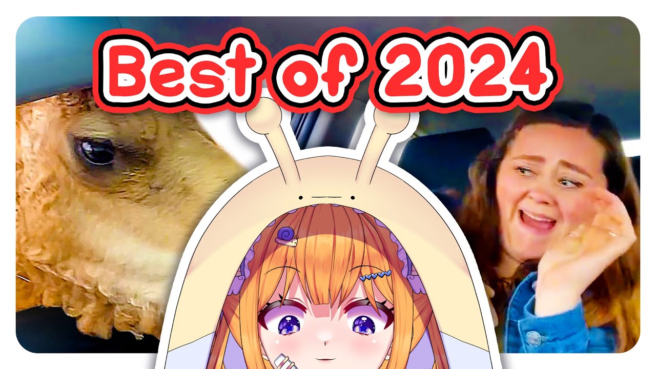 BEST OF DAILY DOSE 2024!! | Snail Vtuber reacts to Daily Dose of Internet
