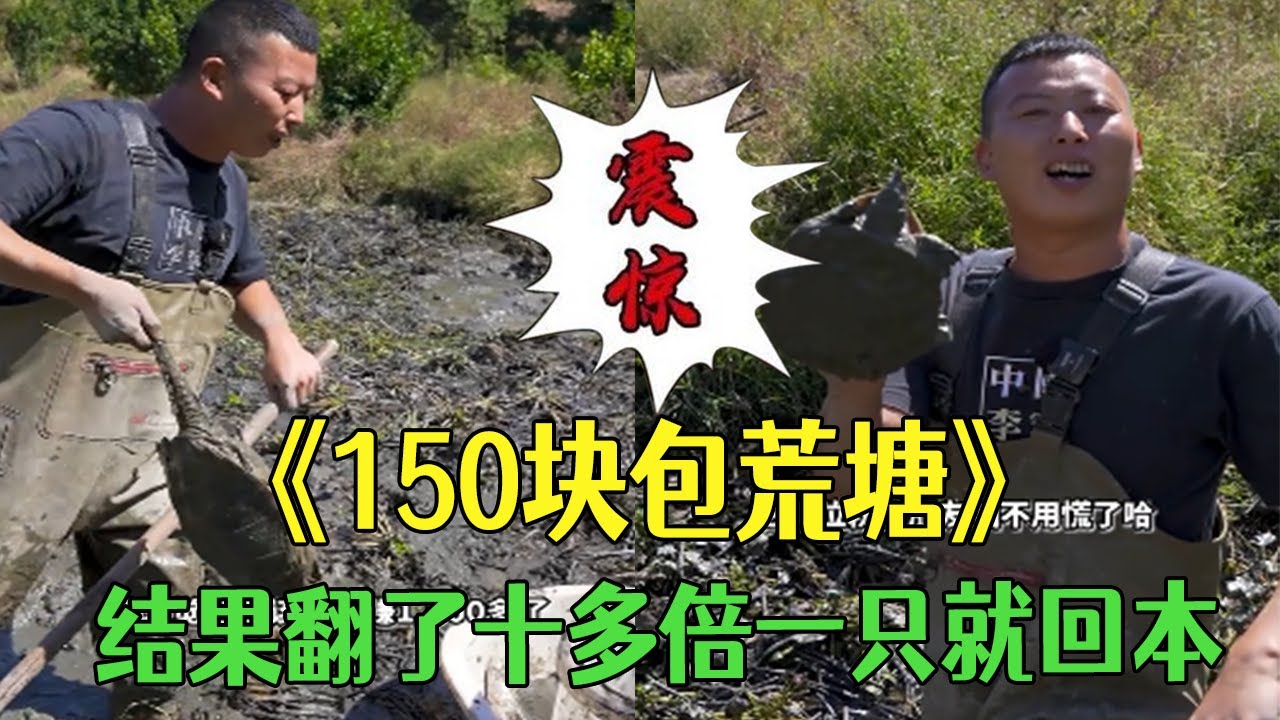 150塊包的荒塘，結果翻了十多倍，壹只就回本 #小飛哥#農村生活 #三農 #護外 #新農人計劃2026#包塘