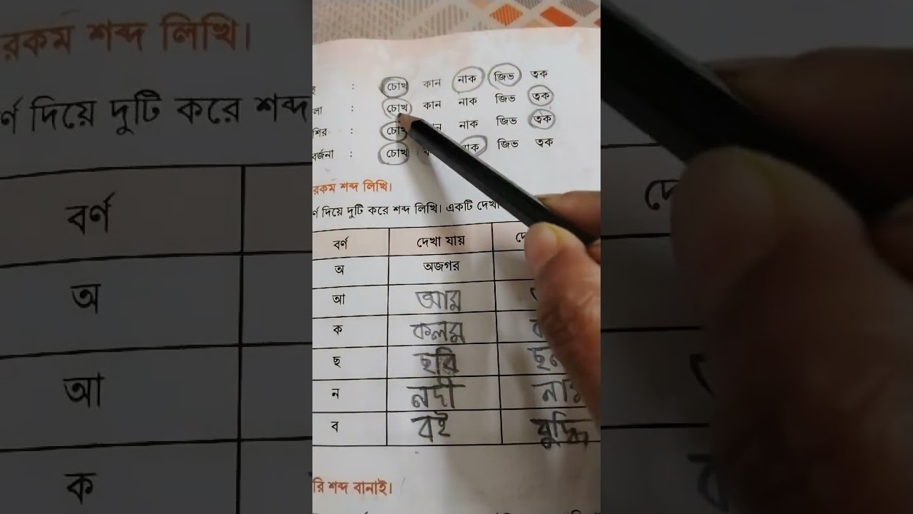 চতুর্থ শ্রেনী বাংলা পৃ ১৬,১৭ প্রশ্ন উত্তর  ২০২৬( Class 4 Bangla, page 16,17 question & answer 2026)