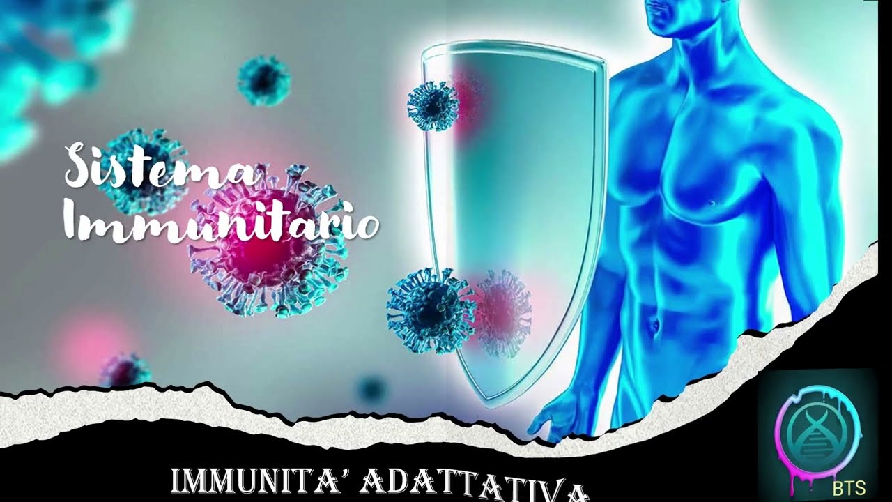 SISTEMA IMMUNITARIO_ IMMUNITA' ADATTATIVA