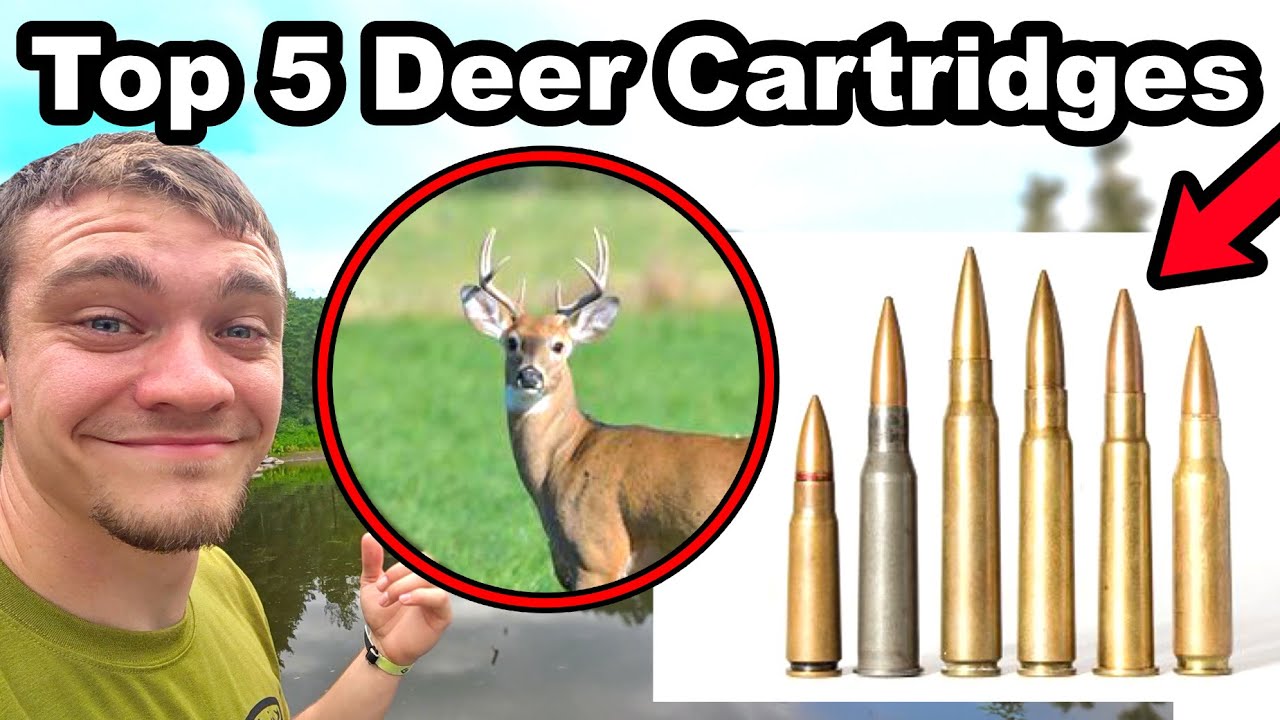 Top 5 Deer Hunting Cartridges for Beginners!
