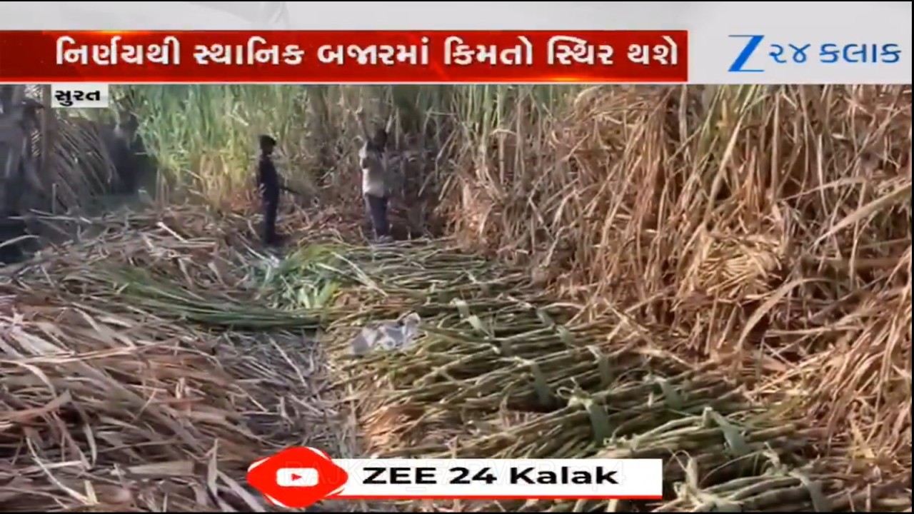Surat: સરકારે ઘઉં અને ખાંડના નિકાસને મંજૂરી આપી, મહત્વના નિર્ણયથી સ્થાનિક બજારમાં કિંમતો સ્થિર થશે