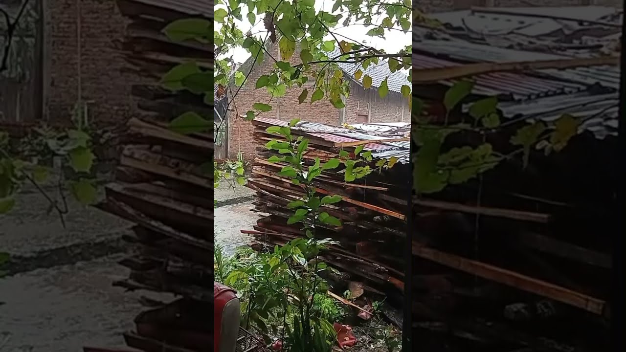 yudz saka 🔴 LIVE Heavy Rain in a Quiet Village 🌧️ nature Sounds for Deep Sleep, Relaxing Ambience