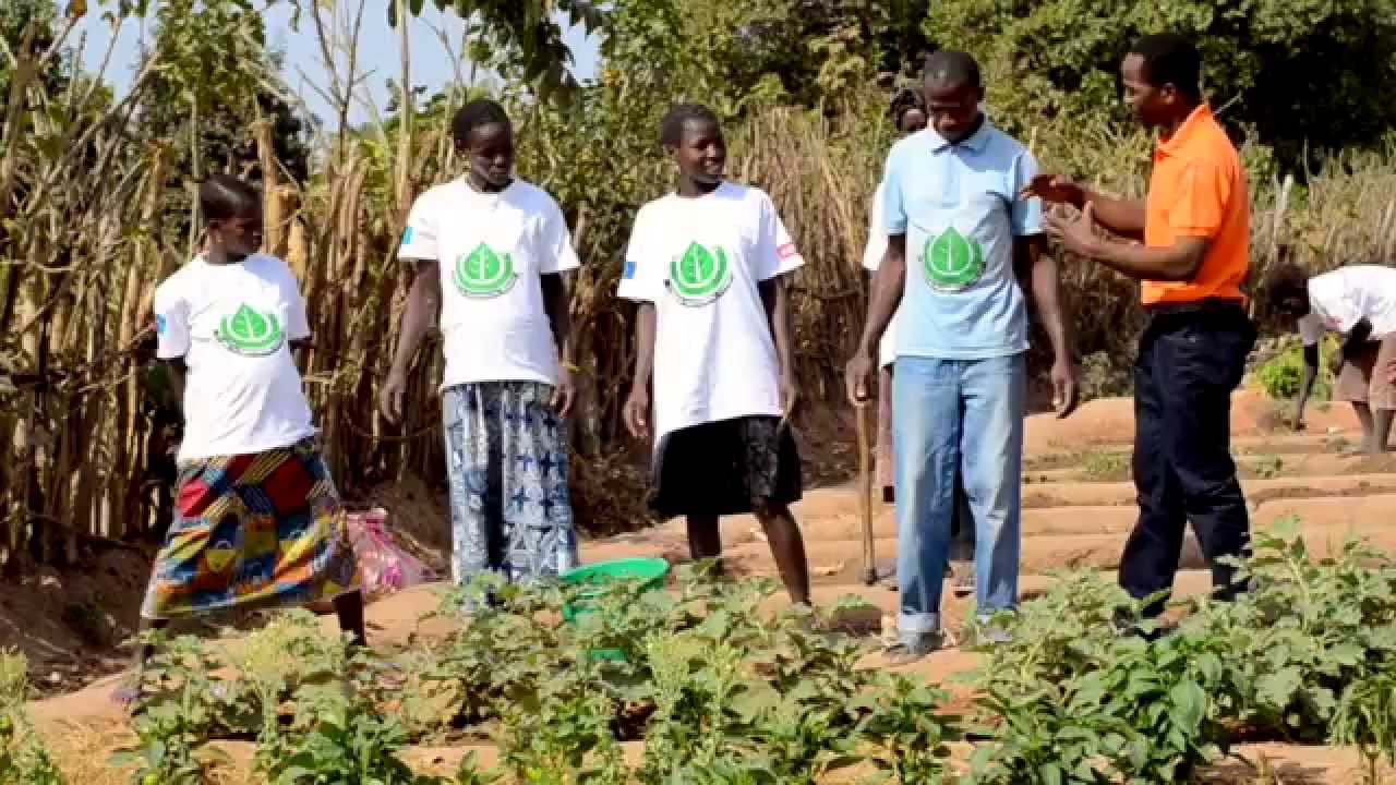 Combater as mudanças climáticas na Guiné-Bissau