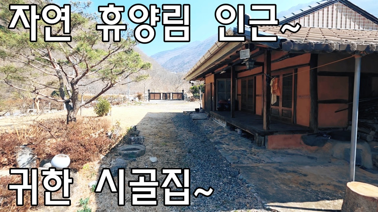 [No587]단장면 구천리 자연 휴양림 인근~ 귀한 시골집#밀양신삼진부동산#밀양전원주택매매#밀양촌집매매#밀양단독주택매매#밀양부동산매매#밀양주택