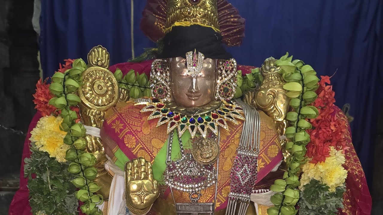 ஸ்ரீவில்லிபுத்தூர் மாசி மாதம் வடபத்ரஸாயி திருவோணப் புறப்பாடு/@என்கோதை 