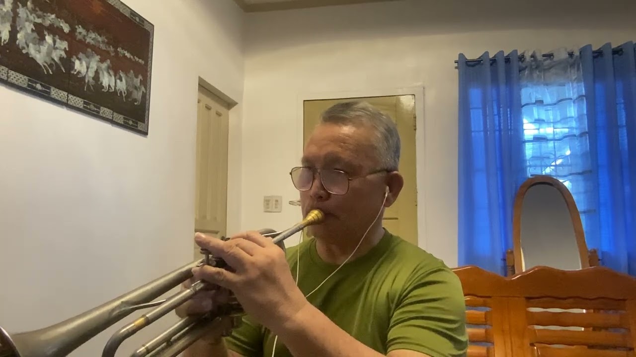 THERE’S A KIND OF HUSH -  The Carpenter (Trumpet) cover