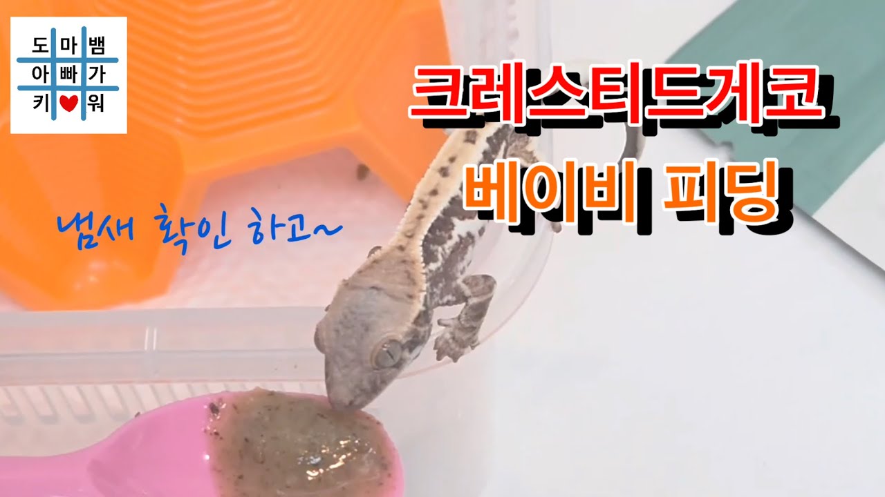 2.크레 베이비 피딩밥법