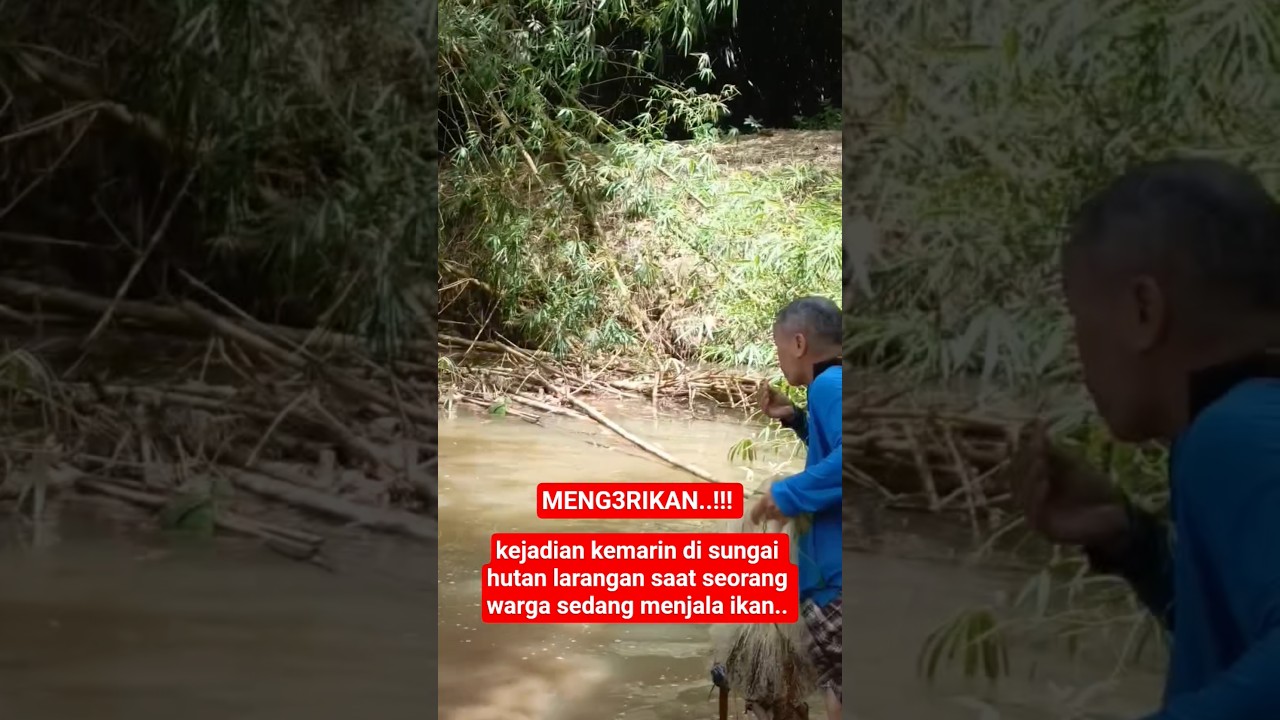 kejadian kemarin di sungai hutan larangan warga yang sedang menjala ikan tiba tiba 
