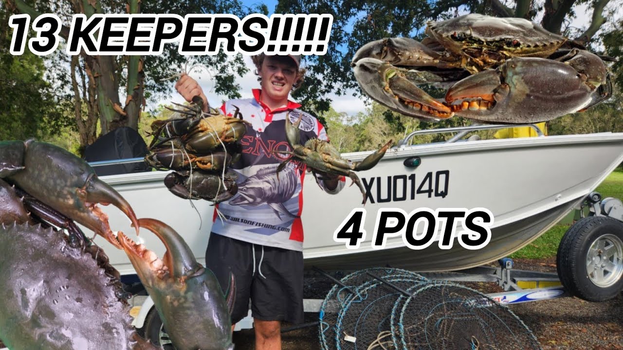 MUD CRABBING SEQ!!!!! / CHRISTMAS CRABS / LOTS OF CRABS /
