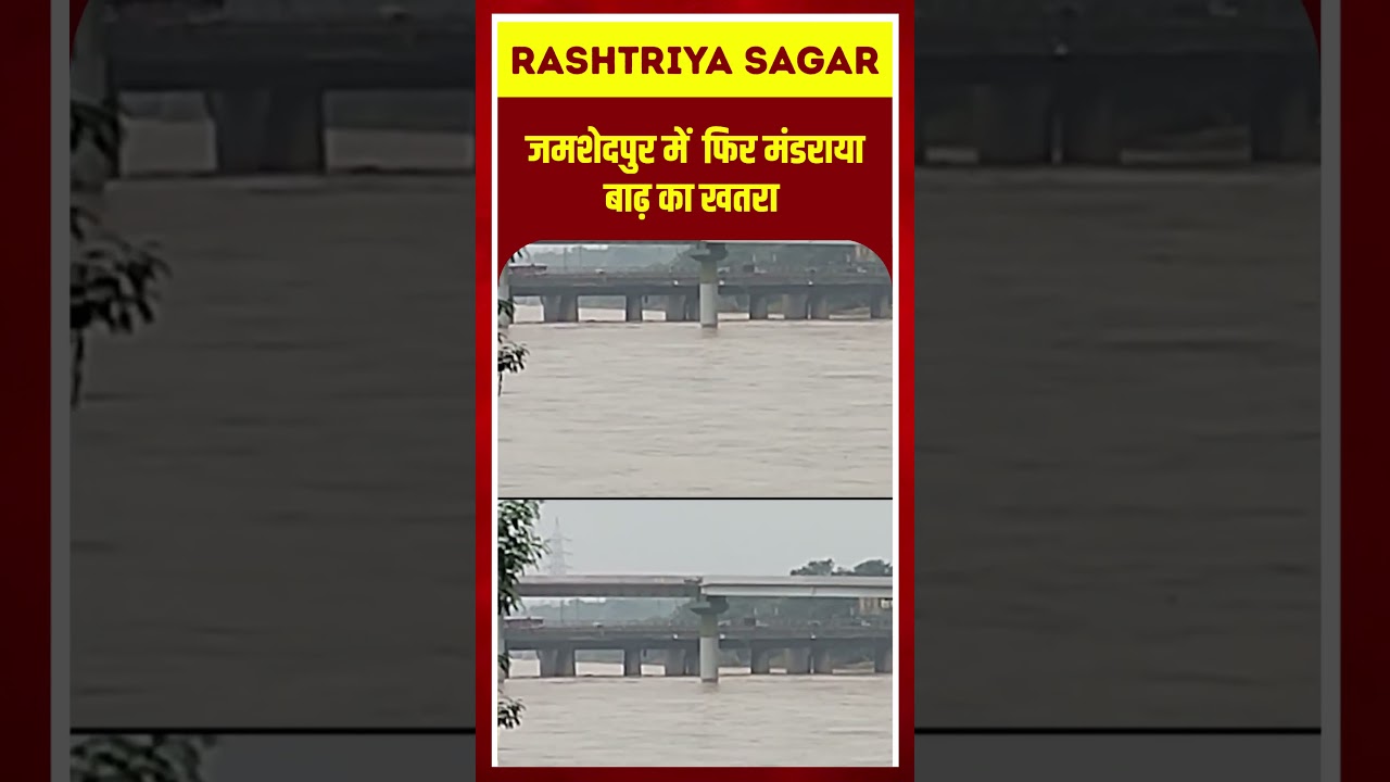 Jamshedpur में  फिर मंडराया बाढ़ का खतरा  #viral #vedio #trending #short #moreviews #news #Jharkhand
