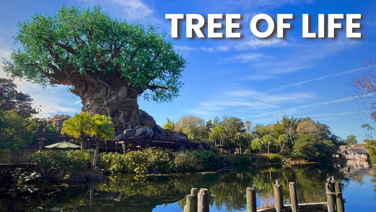Tree of Life 🌳 | Peaceful Animal Kingdom Ambience (Birds, Ducks & Water Sounds)