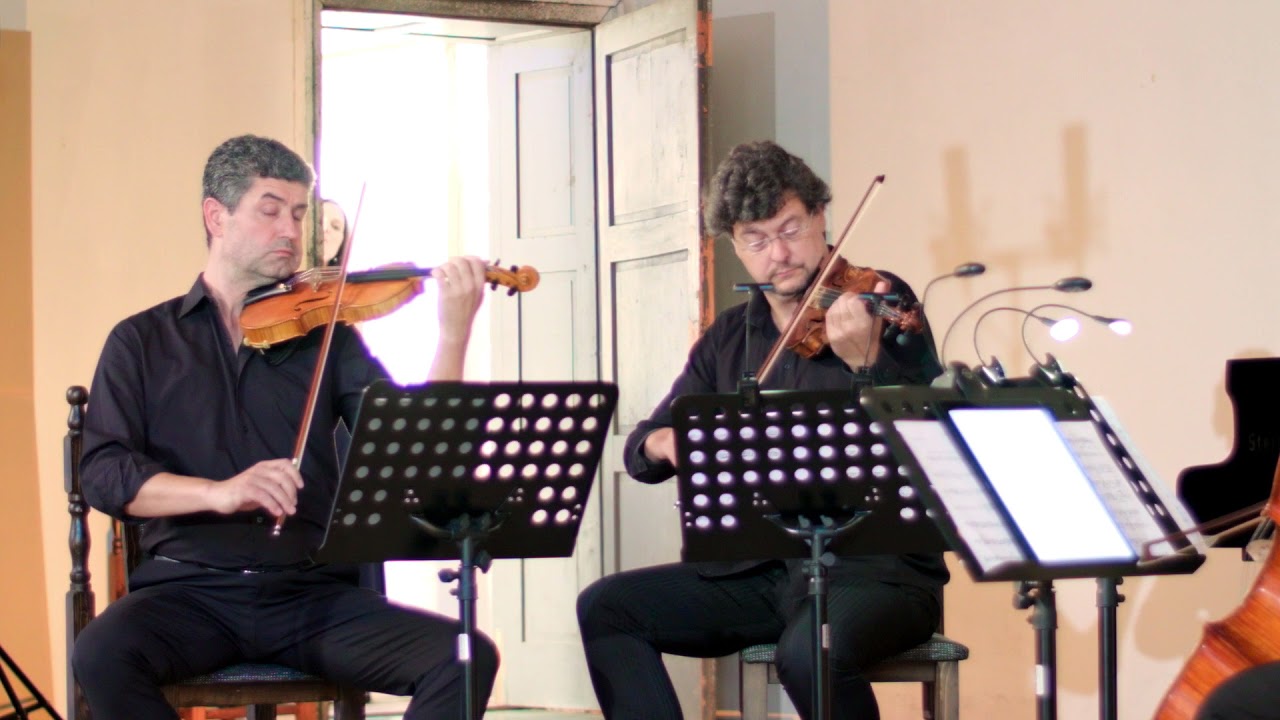 Dobrinka Tabakova -- The Smile of the Flamboyant Wings for String Quartet