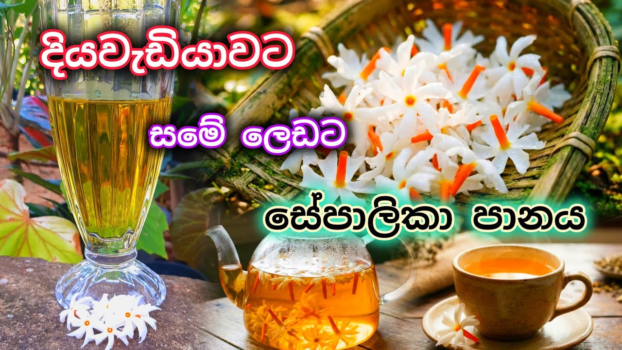 ලෙඩ ගොඩකට / සමට ගුණ දෙන සේපාලිකා 🌼 sepalika tea #sepalika #naturaldrinks #skincaretips #diabetescare
