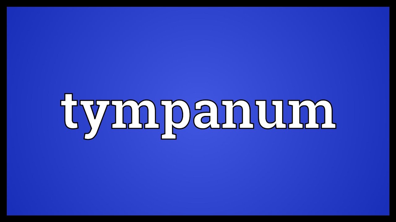 Tympanum Meaning