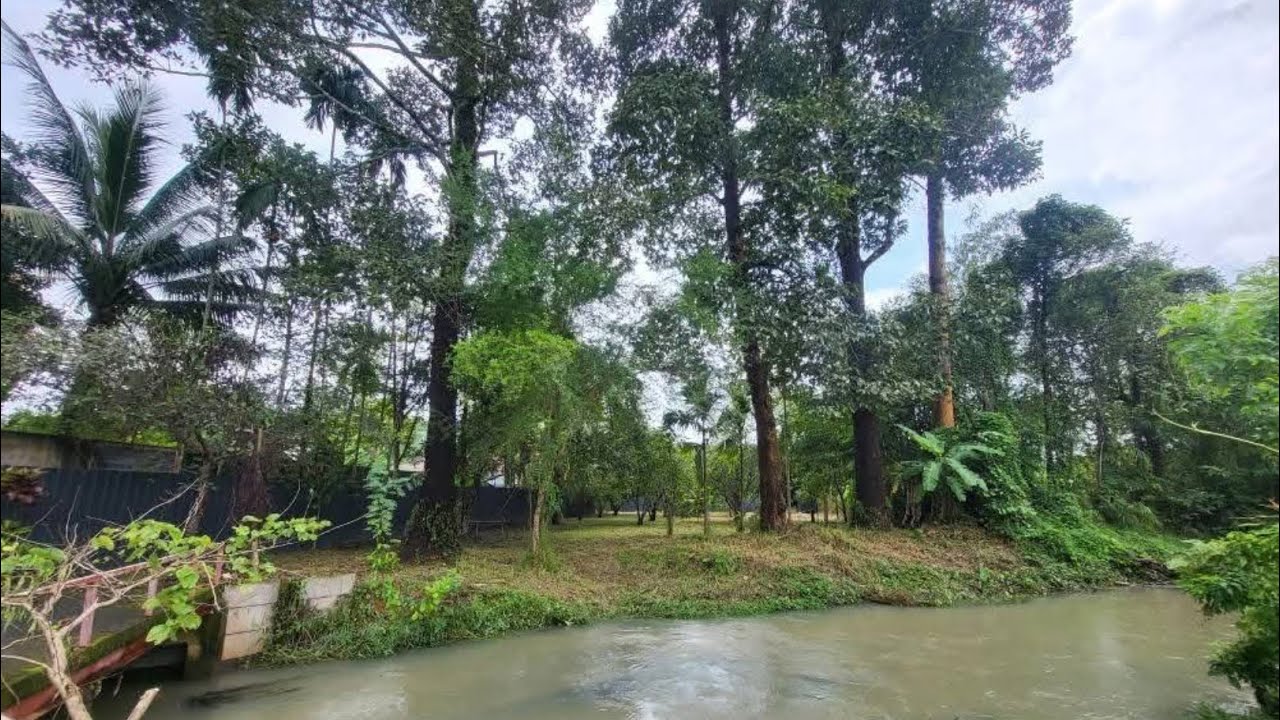 ยก1.98ล้านสวนมะยงชิดนครนายก โฉนด ที่ดินไม่ต้องถม น้ำไฟพร้อม สร้างบ้านได้เลยติดคลอง 24 เมตร.
