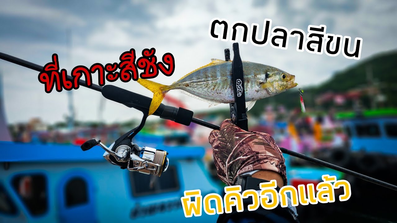 ตกปลา แนวอาจิ(Ajing) ที่เกาะสีชัง โดนของอีกเเล้วว