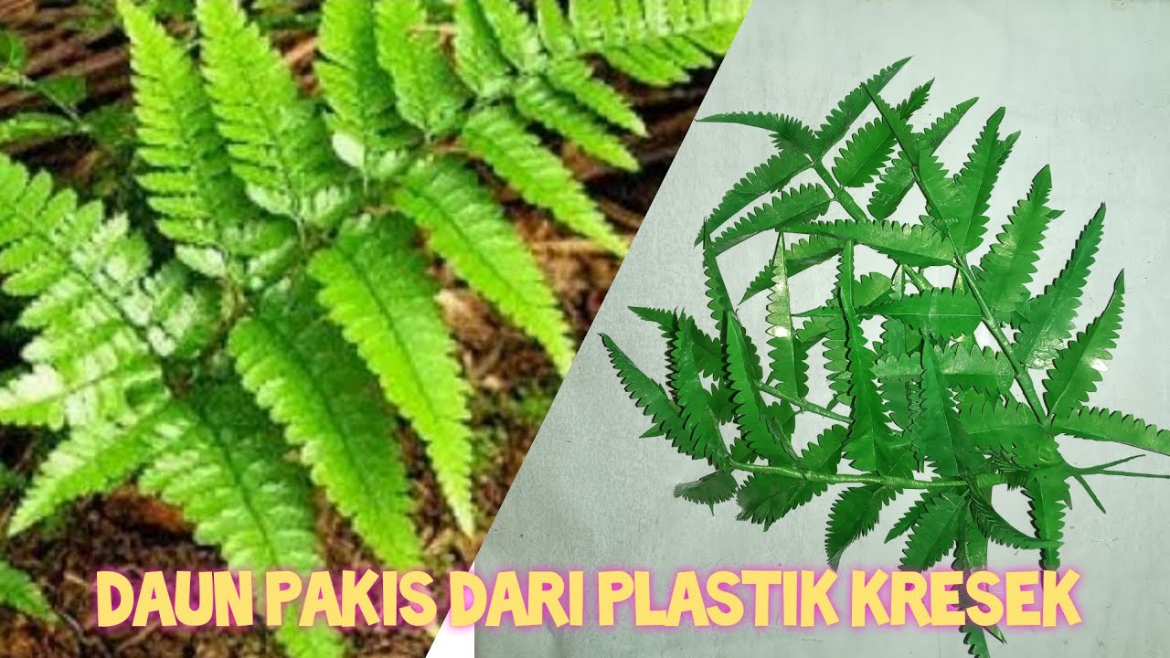 DAUN PAKIS DARI PLASTIK KRESEK,,,GAMPANG BANGET BIKINNYA