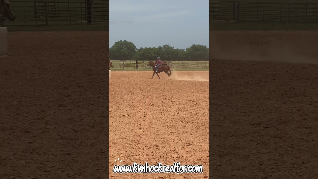 Training Young Horses = Better Real Estate Guidance