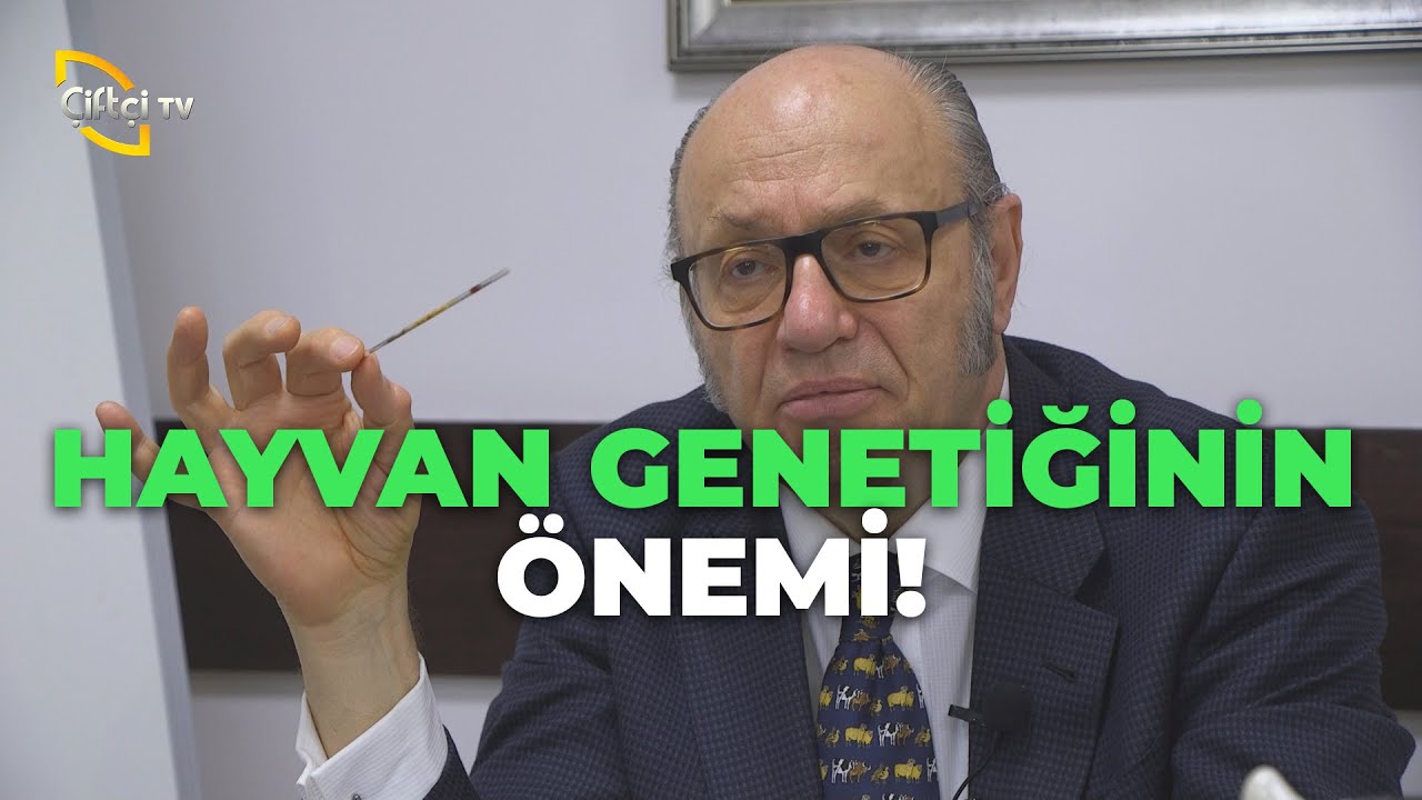 Hayvan Genetiğinde 110 Senelik Açığımız Var - Dersimiz Hayvancılık