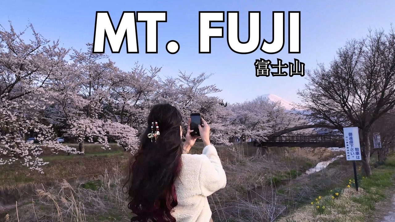 We drove 4 hours to catch Sakura Season at Mt. Fuji & Our Private View | Japan Travel Vlog