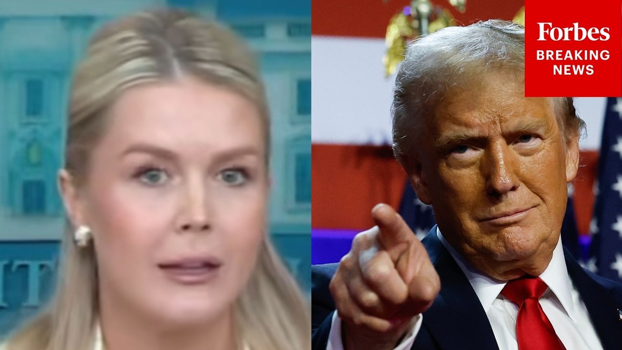 Karoline Leavitt Touts Trump-Backed GOP Tax Cuts, Boasts How They've Benefitted Families