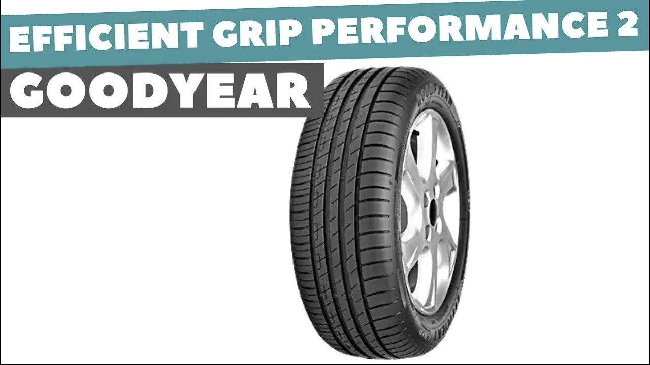 Goodyear Efficient Grip Performance 2 [16 inch] Owner Review after 20.000 MILES