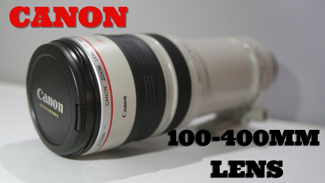 Canon EF 100-400mm f/4.5-5.6L IS USM Lens Review With Samples On Canon 7d