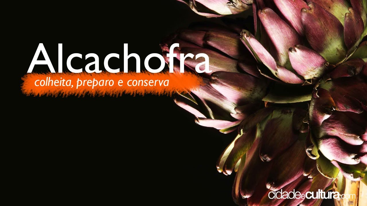 Alcachofra | Colheita, preparo e conserva (São Roque)
