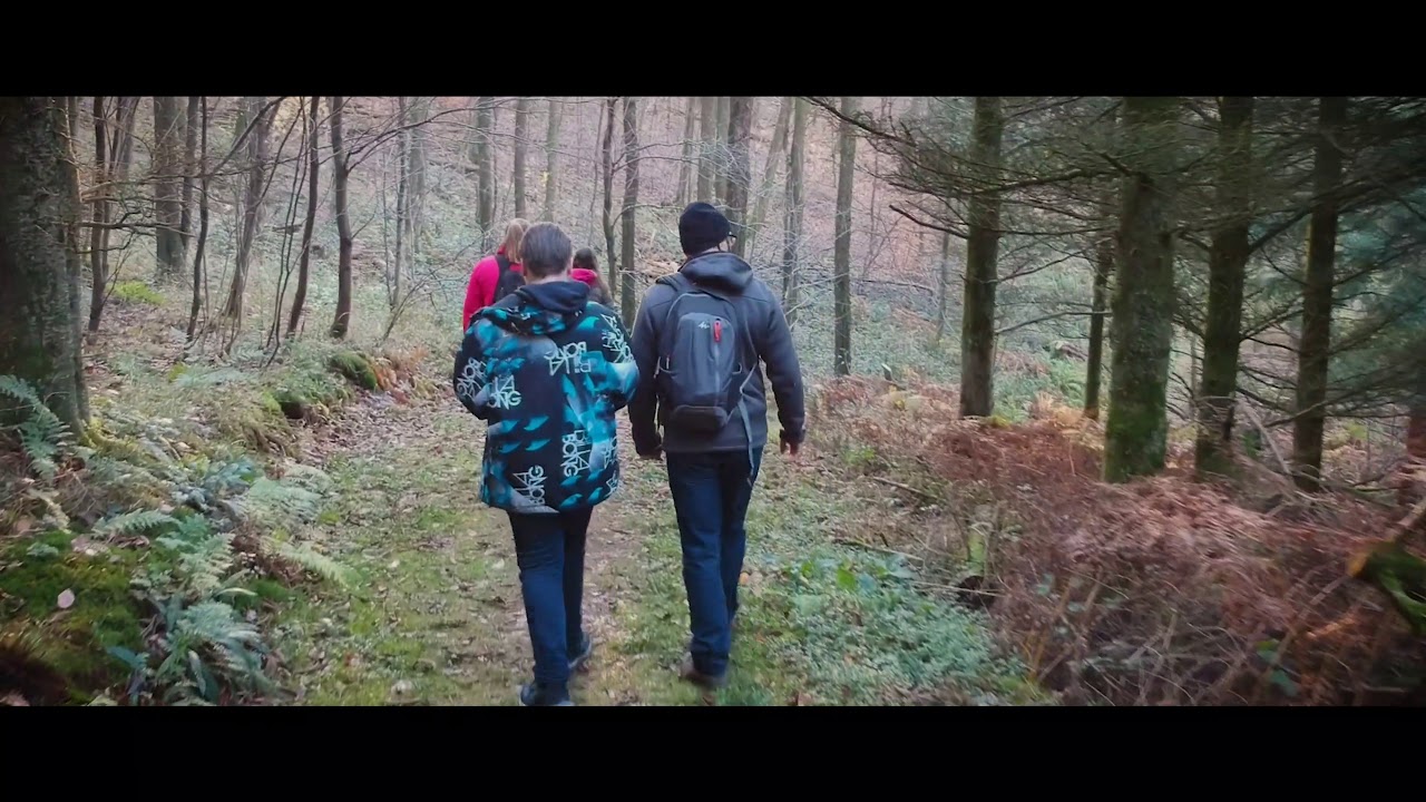 Arboretum Burgholz | DJI Spark | *4k Cinematic*