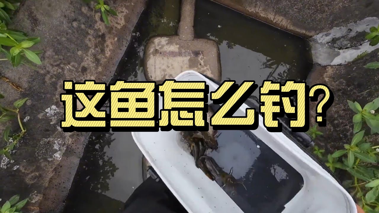 中国男子一边钓鱼 一边讲解垂钓要领
