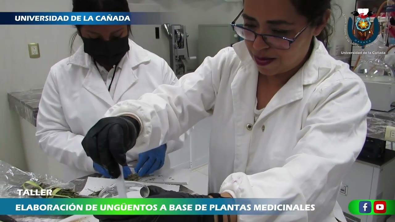 ELABORACI&Oacute;N DE UNG&Uuml;ENTOS A BASE DE PLANTAS MEDICINALES