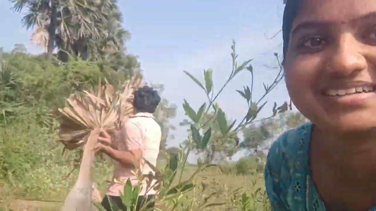 భోగి పండుగ కి తాటాకులకి వెళ్లాము#manivasanthvlogs #villagerlifestyle #భోగి పండుగ #youtubevideo