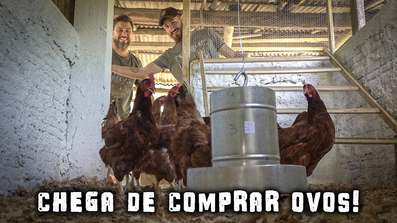 Fizemos um BAITA galinheiro! - Chácara SV