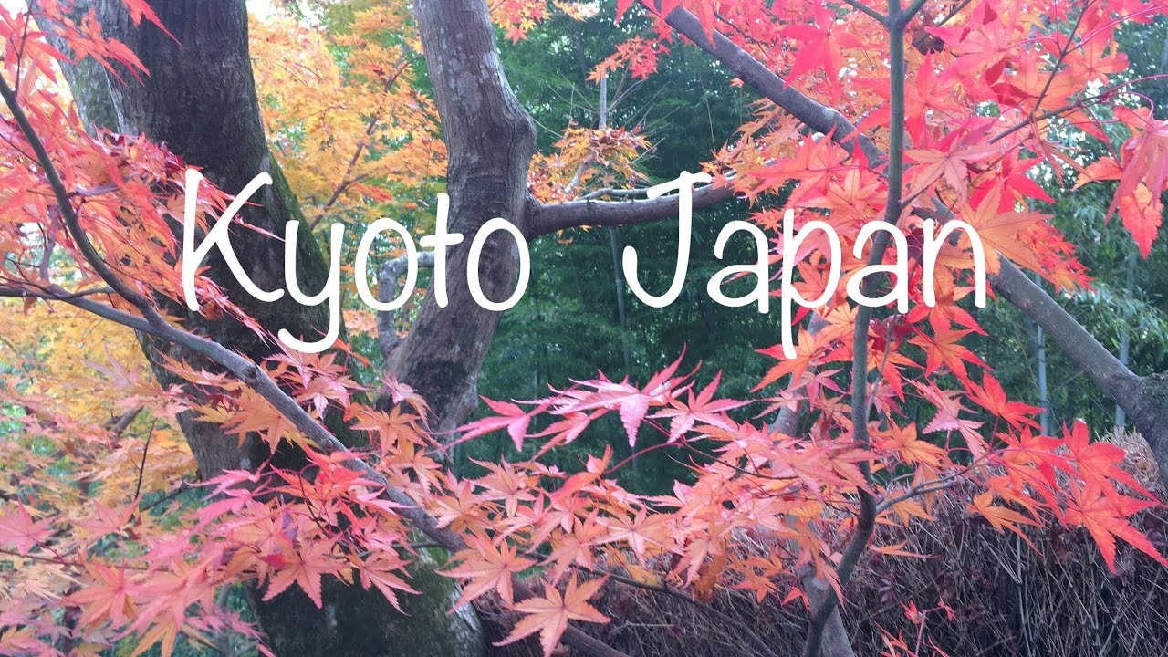 short trip in kyoto