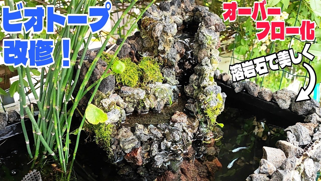メダカのビオトープから水漏れ！オーバーフロー化して作り直します