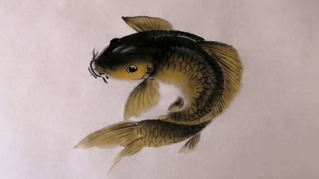 How To Draw Carp with Chinese ink