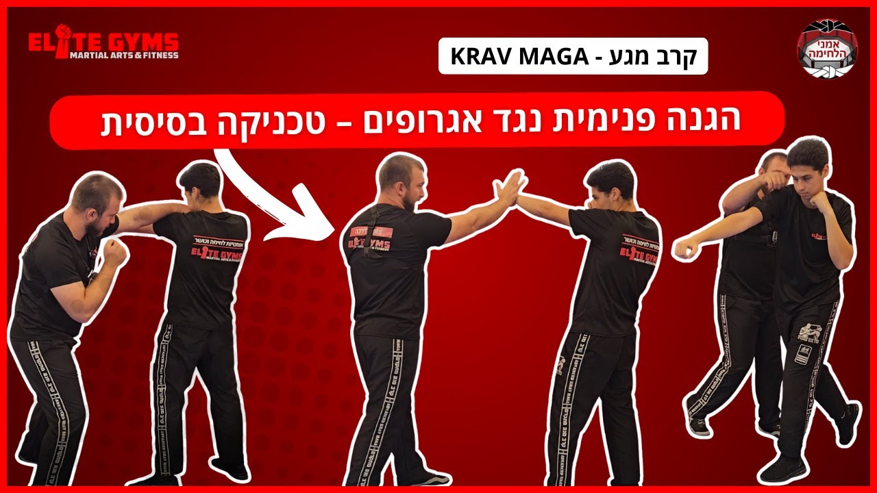 איך להגן מאגרוף לפנים? הגנה בסיסית בקרב מגע עם אלכס דיאצ'נקו