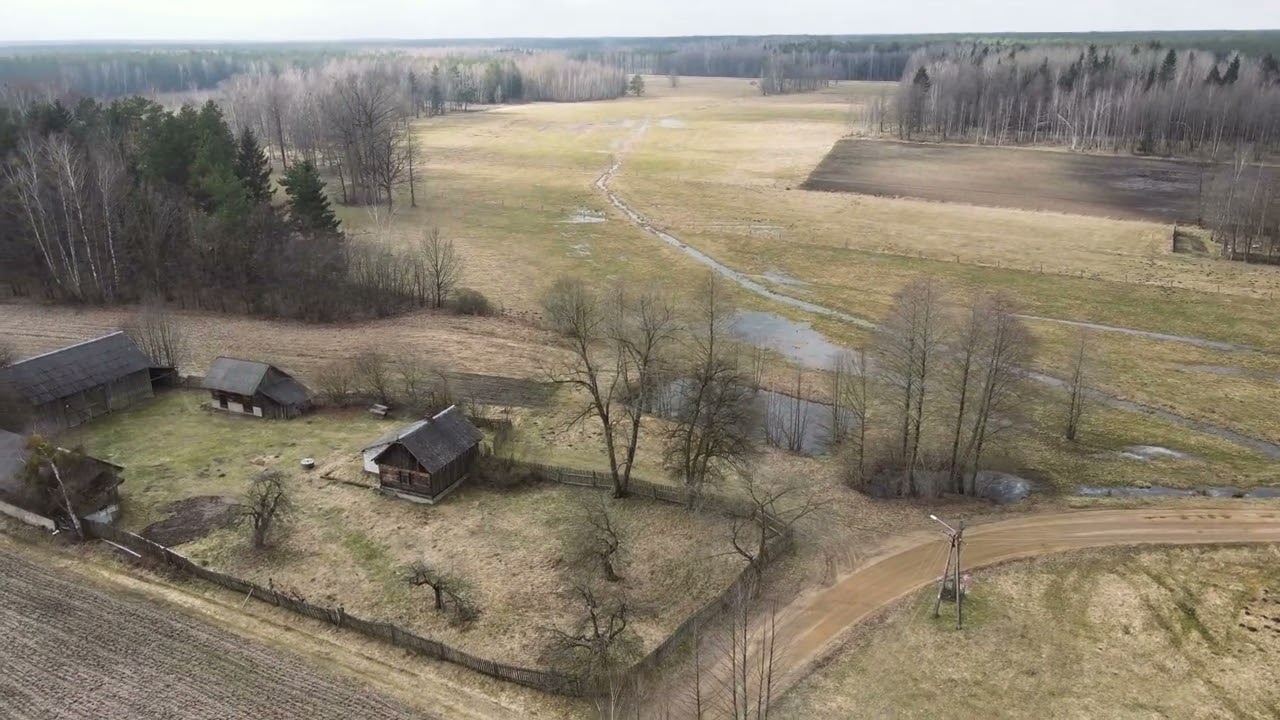Biała Straż - 5,5ha siedlisko z własnym lasem i ziemią rolną!