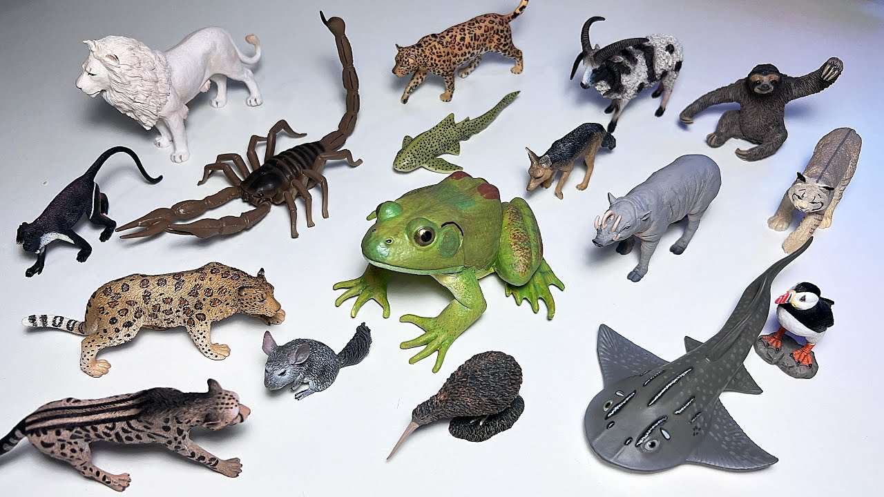 New Animals - Bull Frog, Chinchilla, Kiwi, Shark Ray, Babirusa, Lynx, Cheetah, Lion, Puffin, Leopard