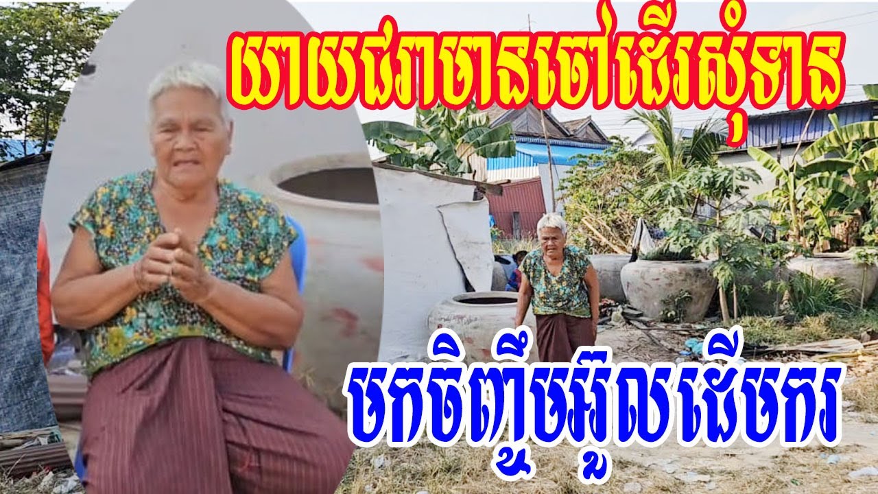 យាយជរាមានចៅដើរសុំទានមកចិញ្ចឹមអ៊ួលដើមករ