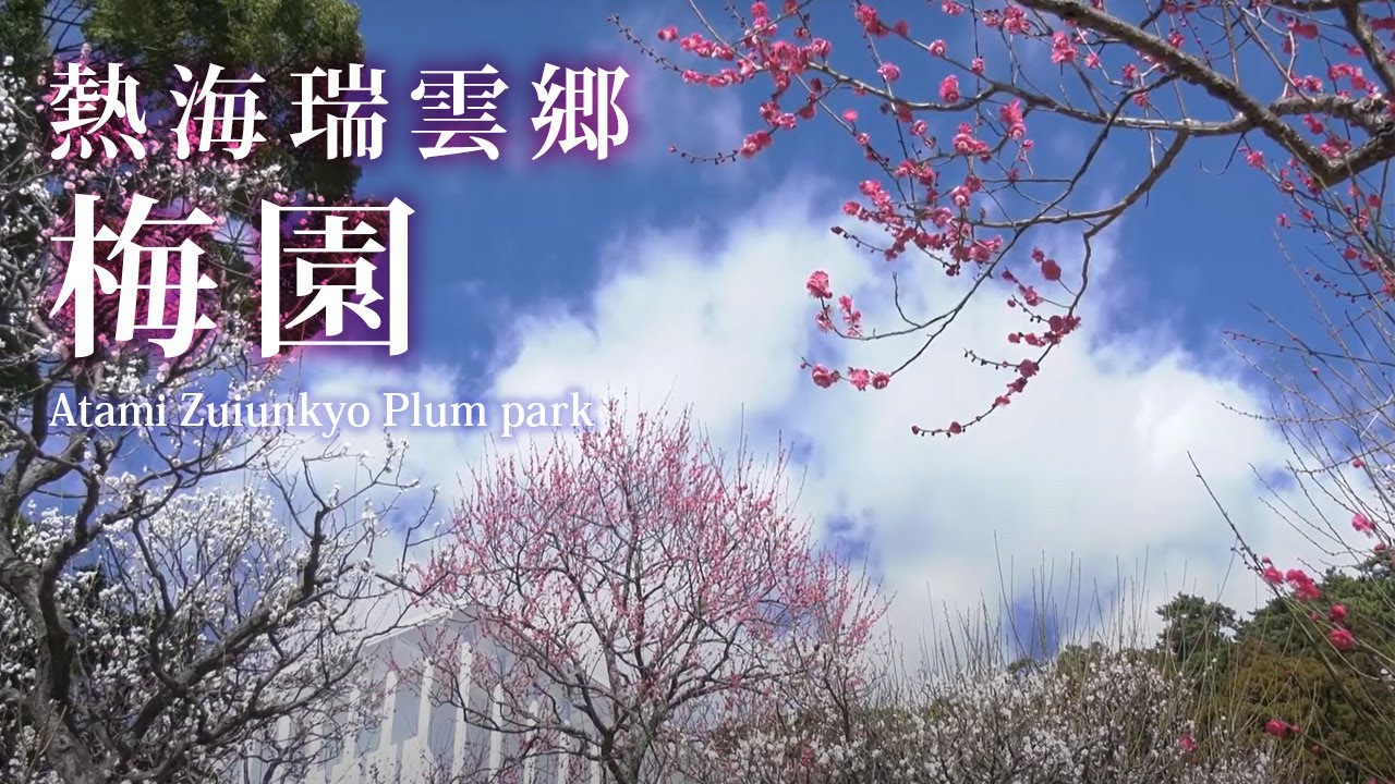 熱海瑞雲郷 梅園 Atami Zuiunkyo Plum park