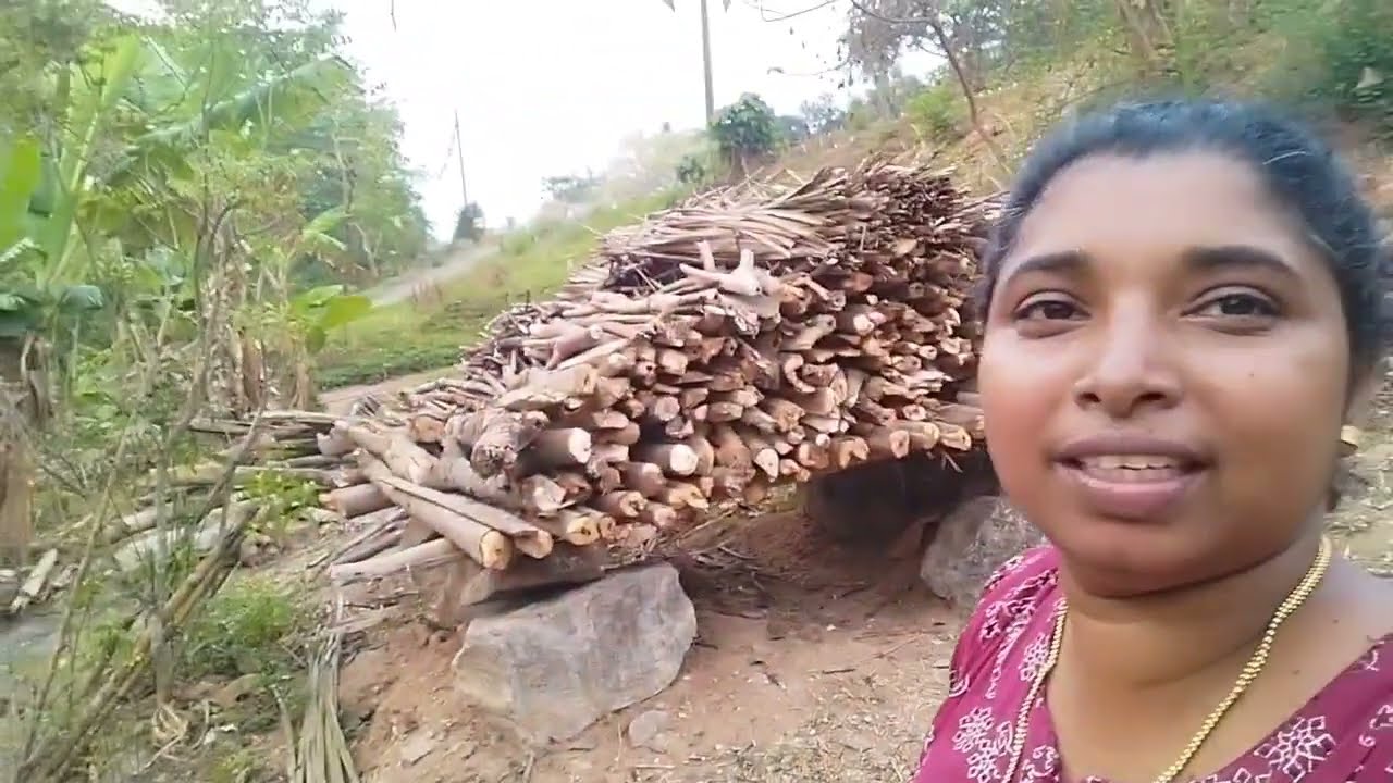  കരുതിവച്ചില്ലെങ്കിൽ മഴകാലത്ത് വിഷമിക്കേണ്ടി വരും 🏡😭
