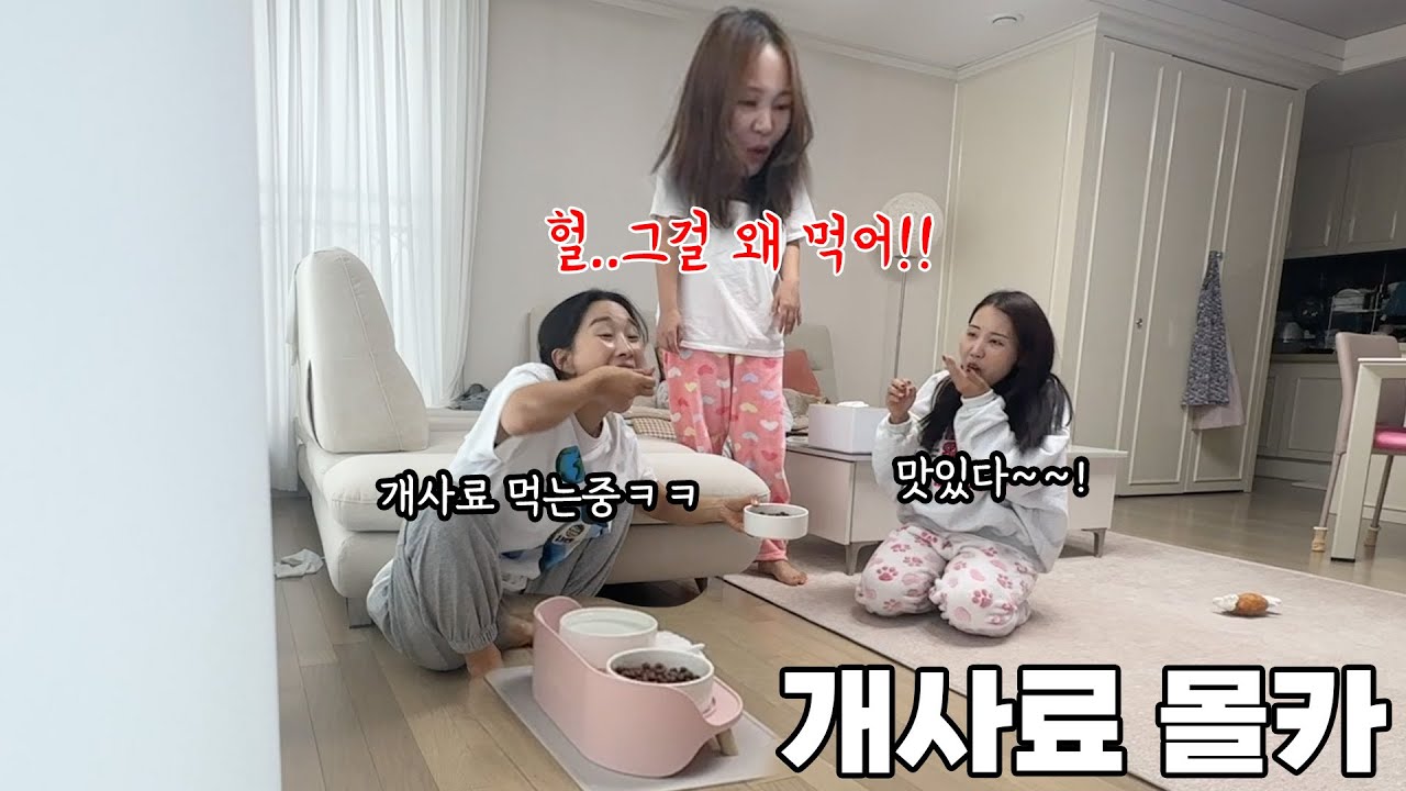 SUB) 강아지 사료 뺏어먹고 주인 반응보기ㅋㅋㅋㅋ 당황한 표정 개웃기네ㅋㅋㅋㅋㅋㅋㅋ