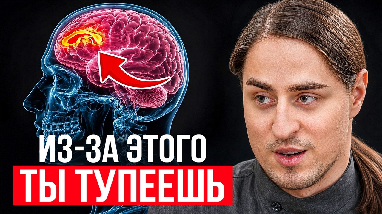 Нейробиолог: ЭТИ ПРИВЫЧКИ ГУБЯТ! Как Избежать Слабоумия к 50 годам? Владимир Алипов
